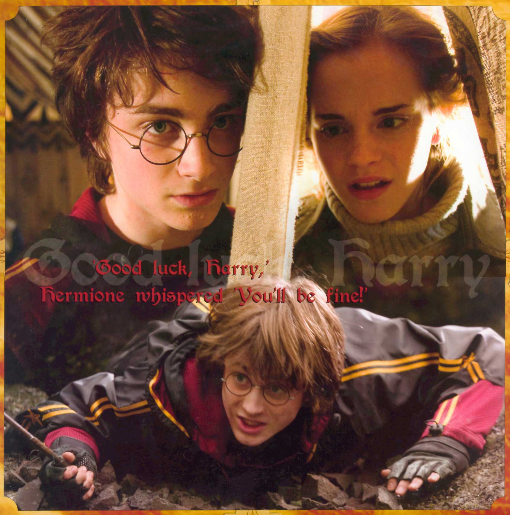 Harry Potter Fannet 情報 四巻の映画 写真等